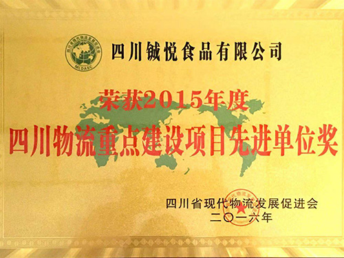 2015年度四川物流重点建设项目先进单位